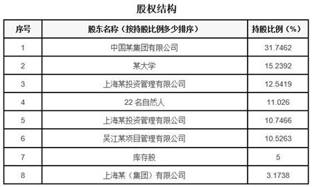 上海软件和信息技术服务公司转让项目040523